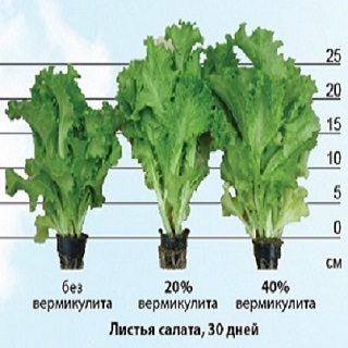 Агровермикулит ВВ-150 фракция 1-2 мм